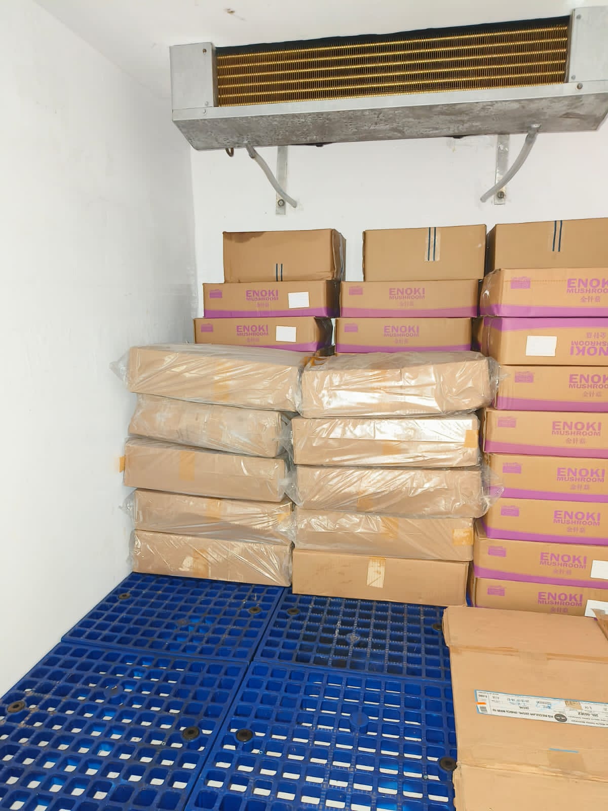 jasa kirim frozen food